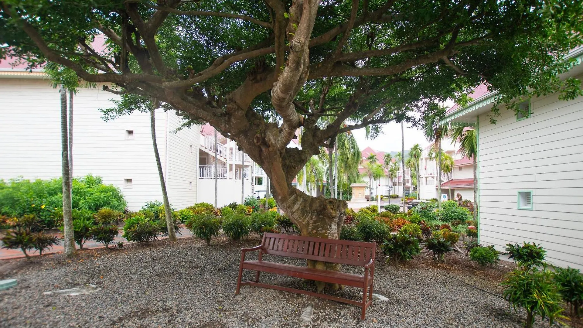 Palmelodie - Avec Piscine Et Jacuzzi Partages Sainte-Luce